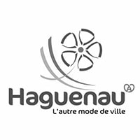Ville de Haguenau